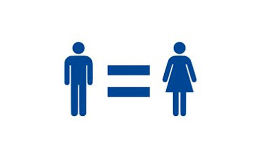 INDEX EGALITE PROFESSIONNELLE ENTRE LES FEMMES ET LES HOMMES - Année 2025 au titre des données 2024 - Apsyades 1